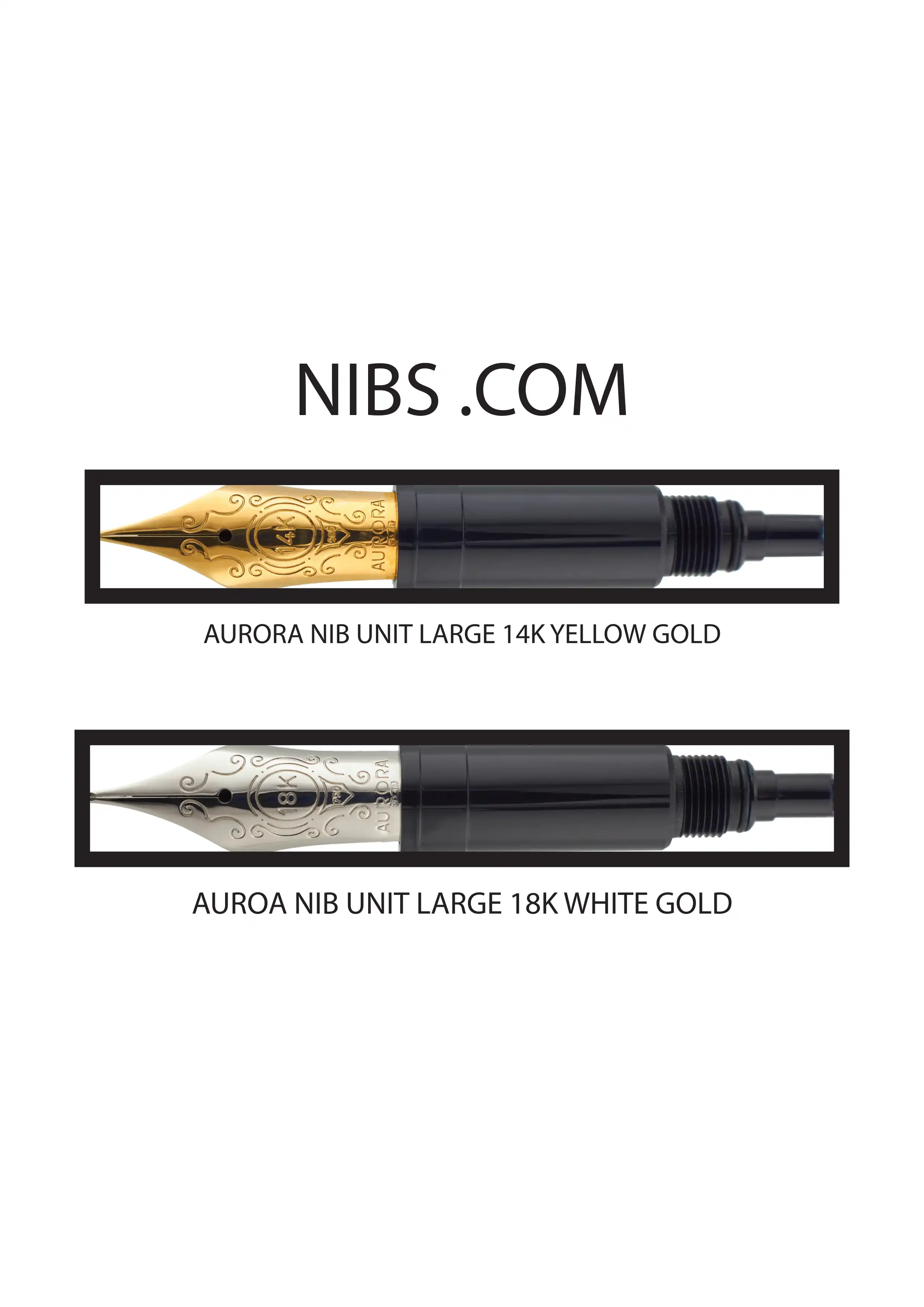 NIBS