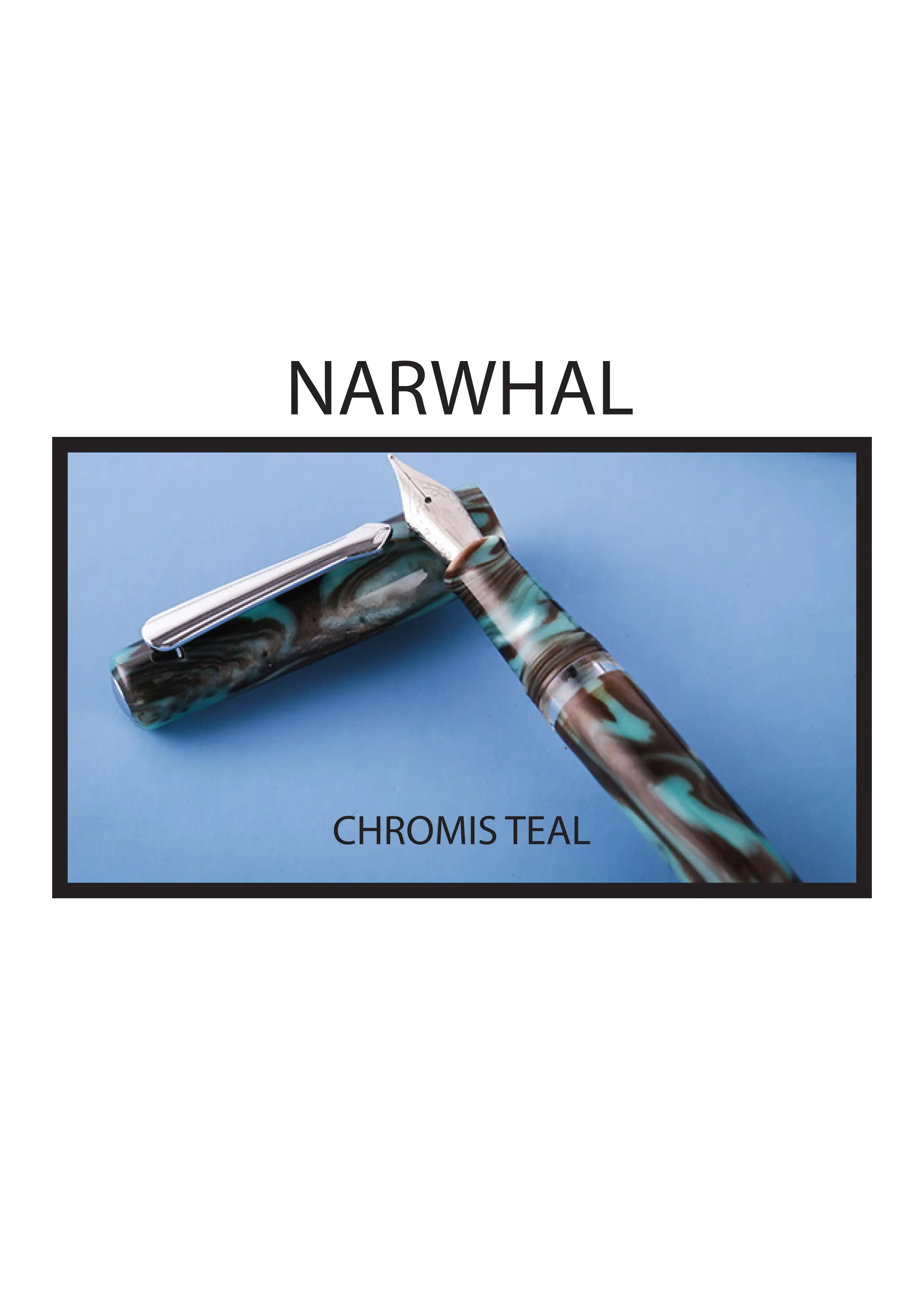 NARWHAL ORIGINAL