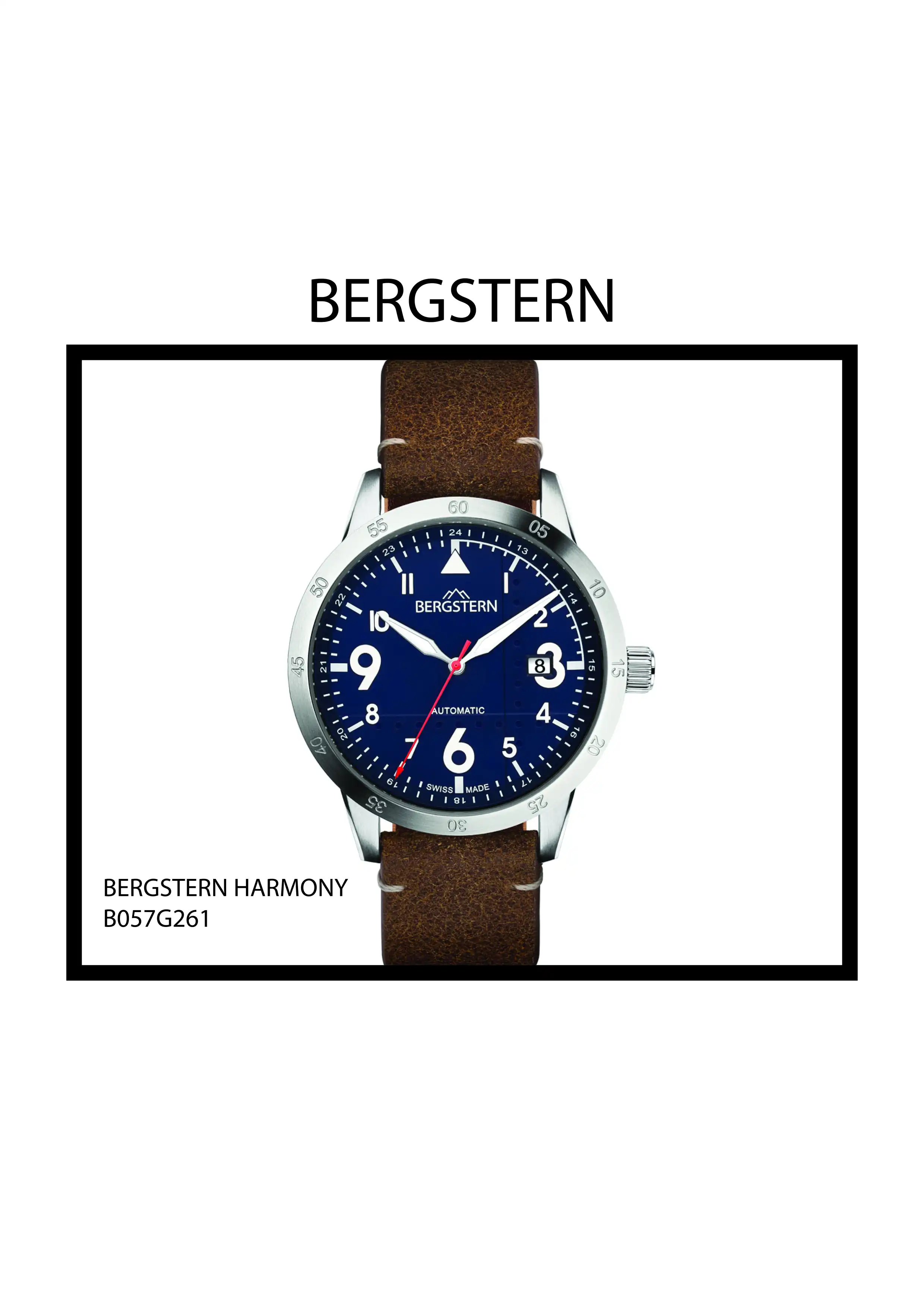 BERGSTERN