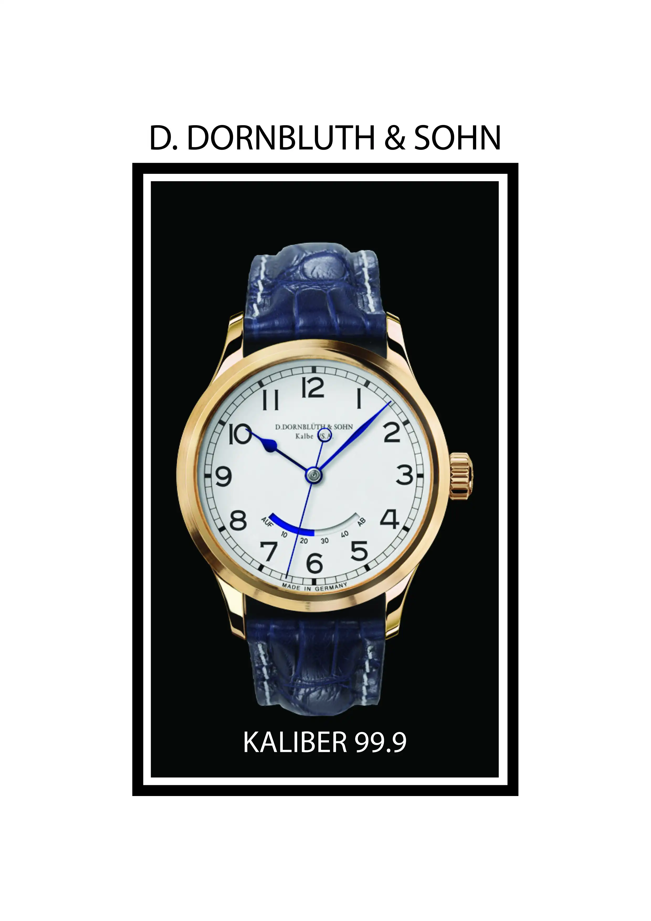D. DORNBLUTH & SOHN
