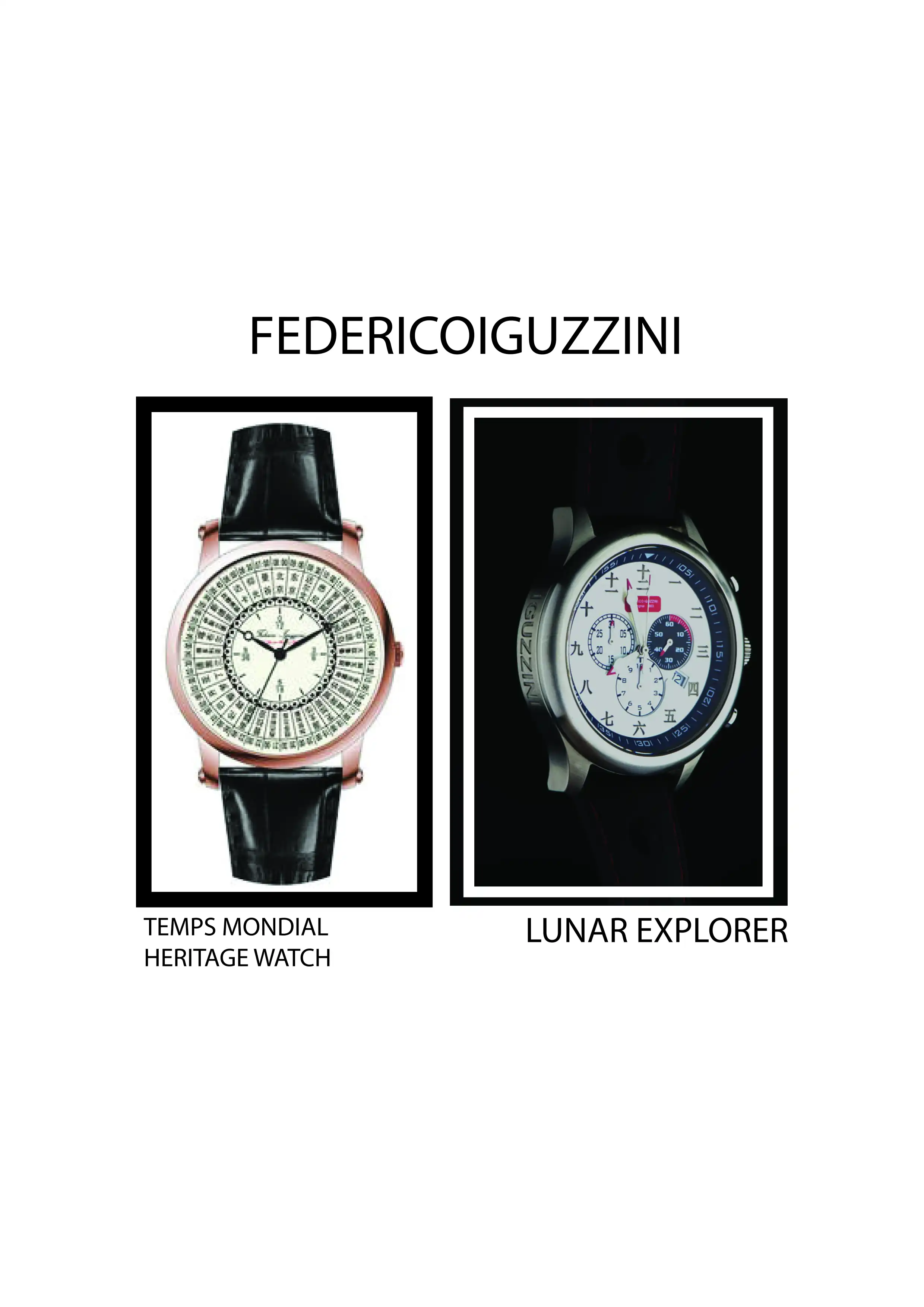 FEDERICOIGUZZINI WATCHES