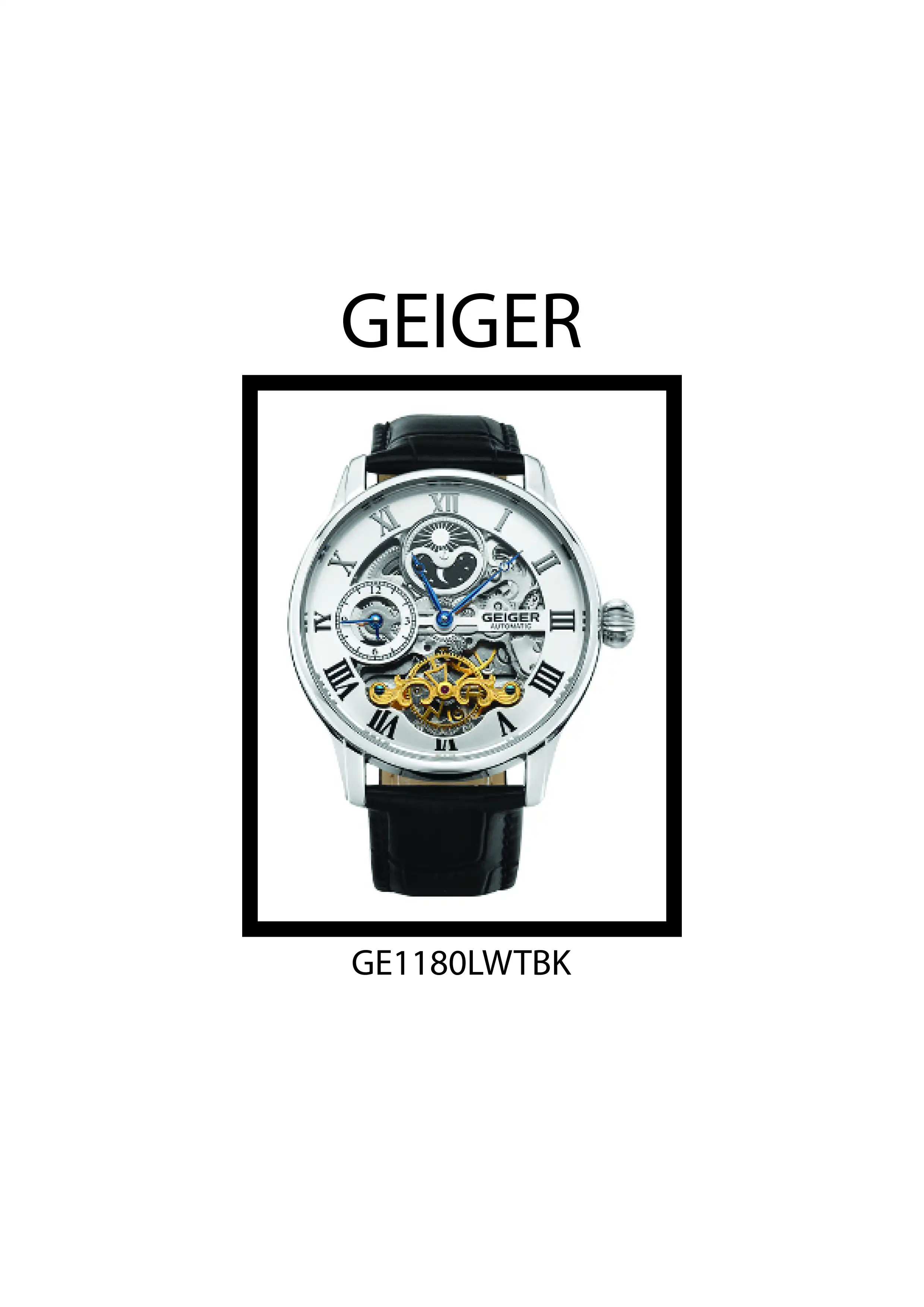 GEIGER