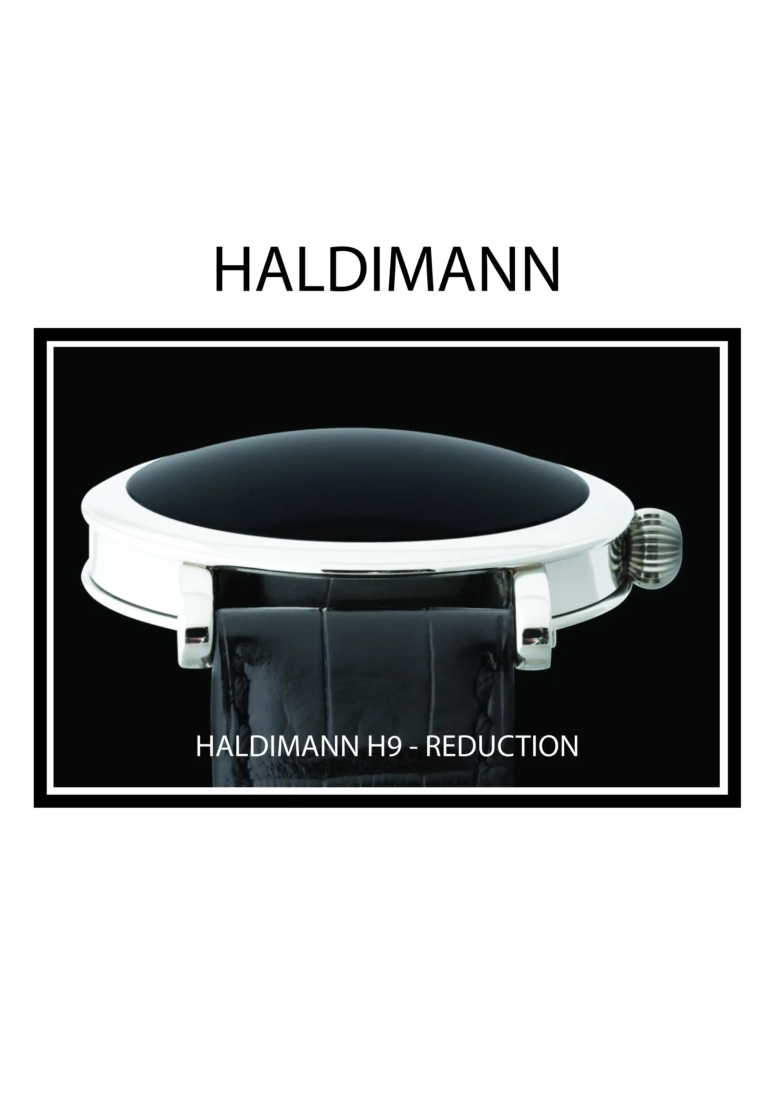 HALDIMANN