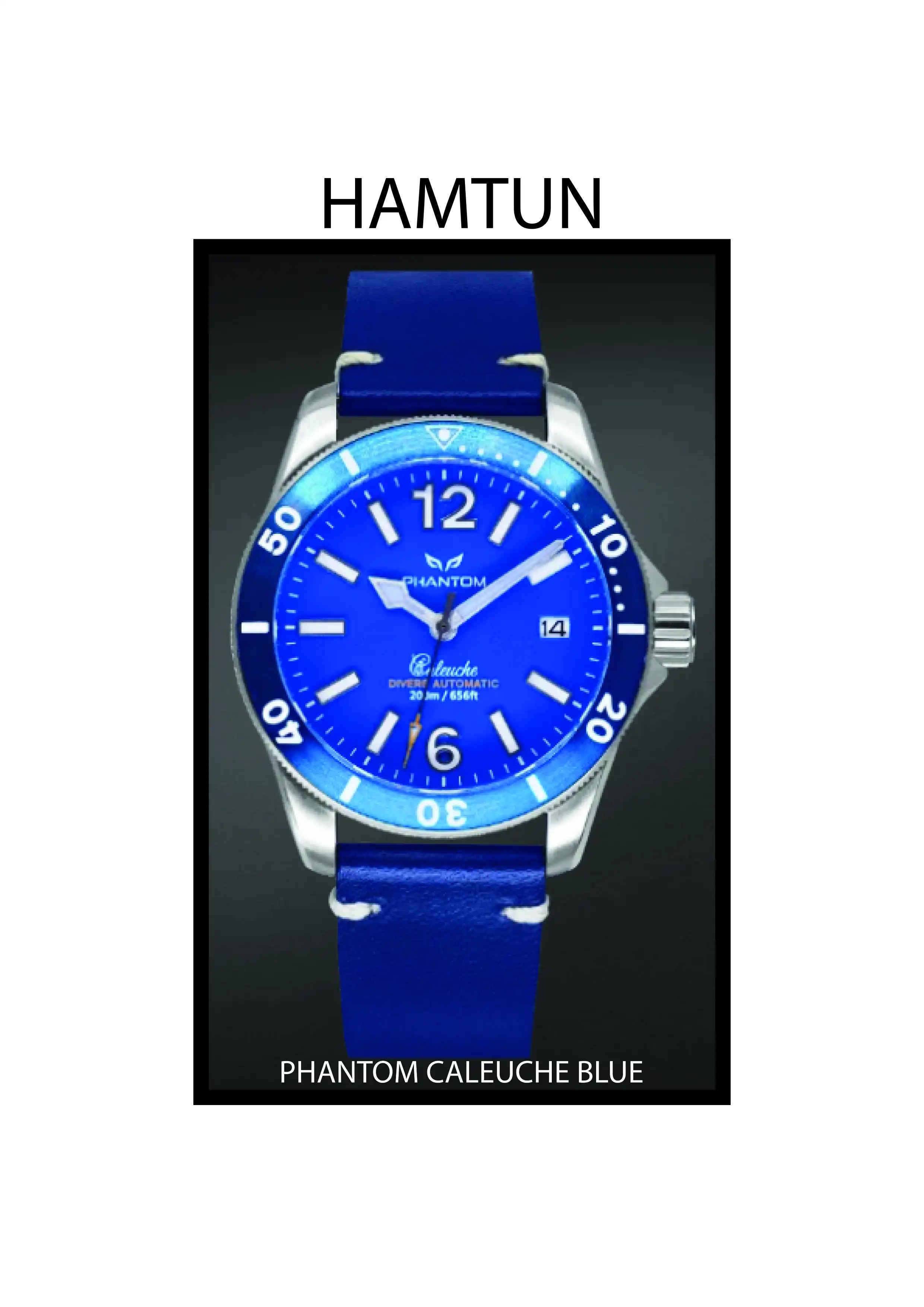 HAMTUN