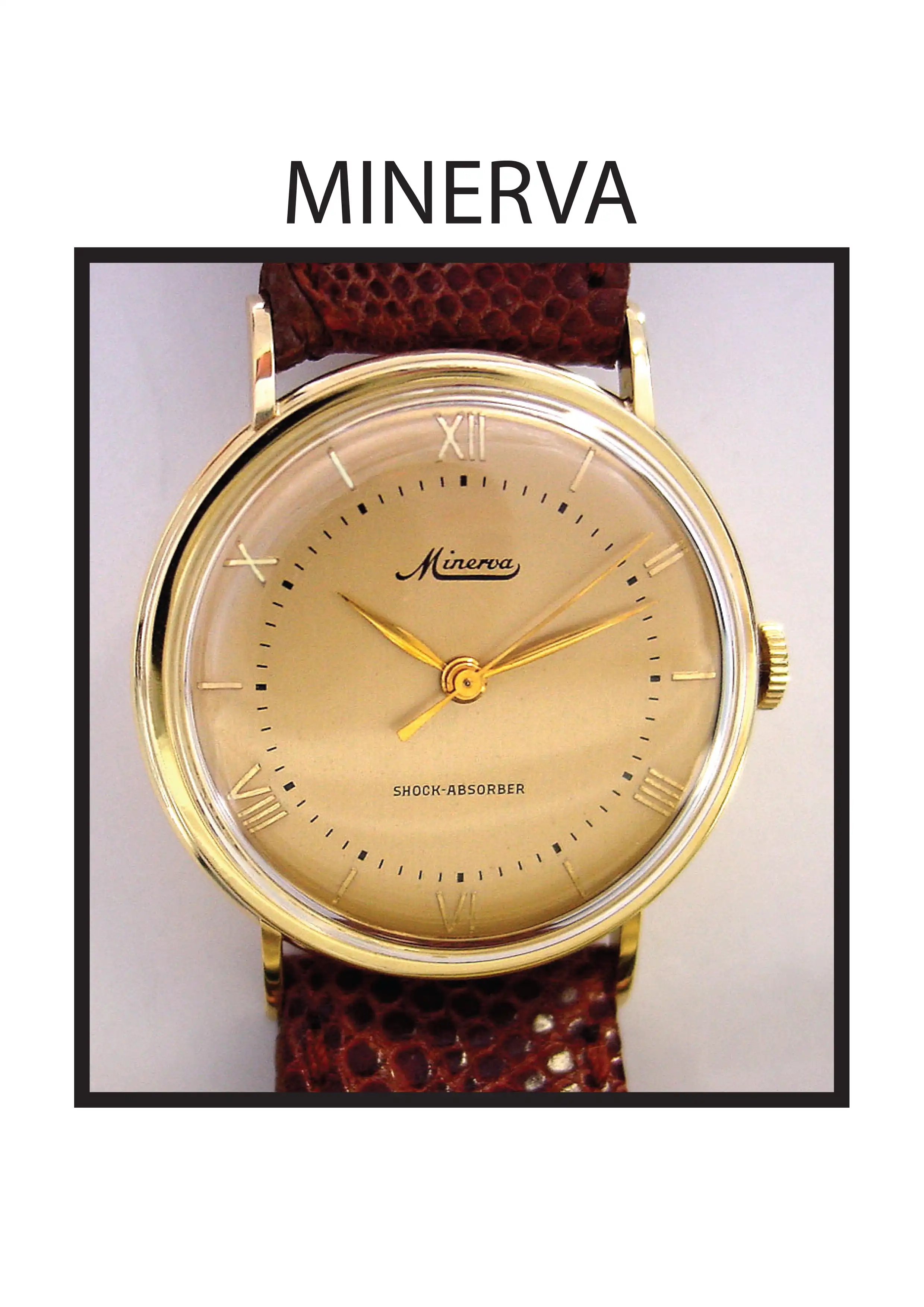MINERVA
