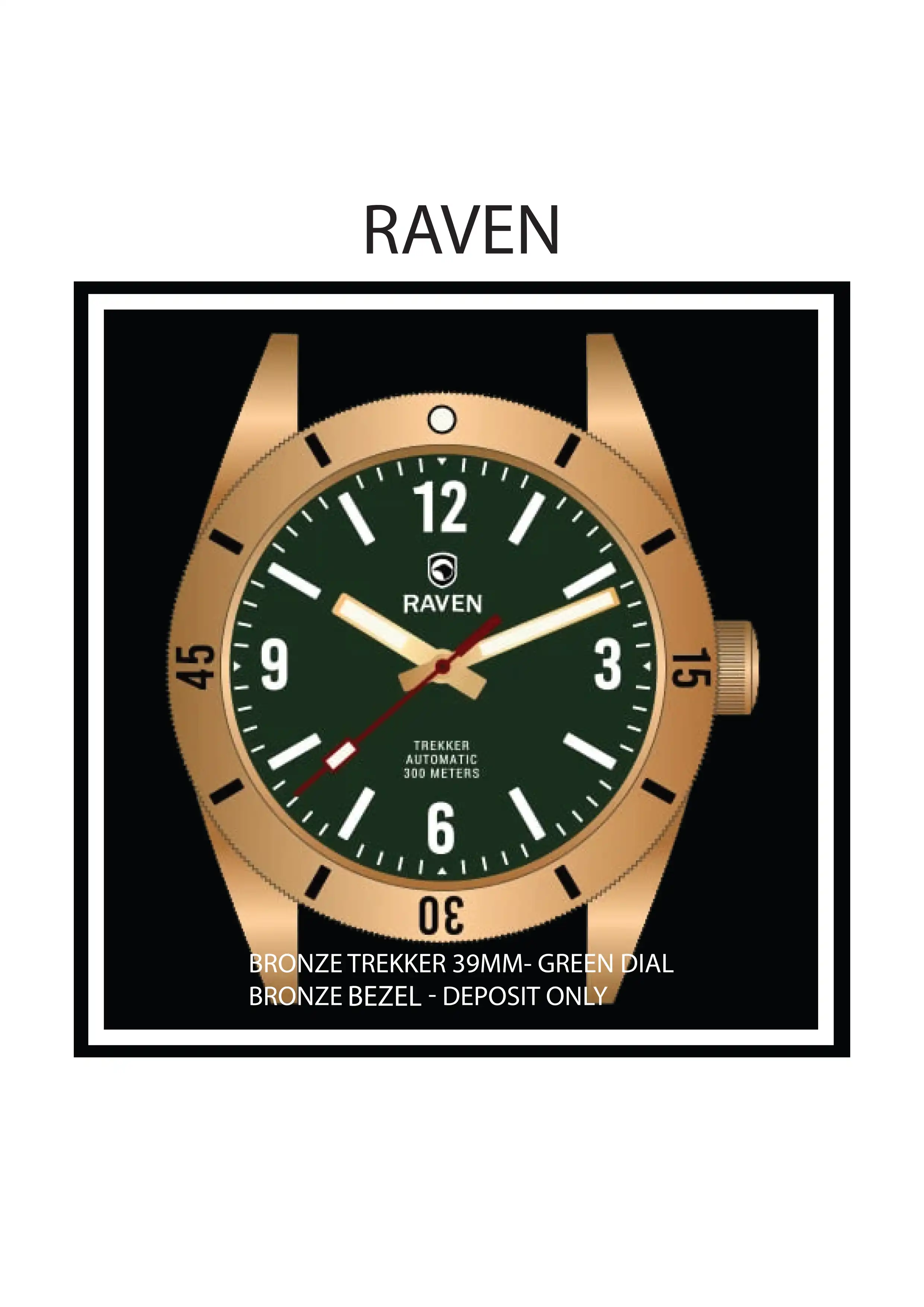 RAVEN