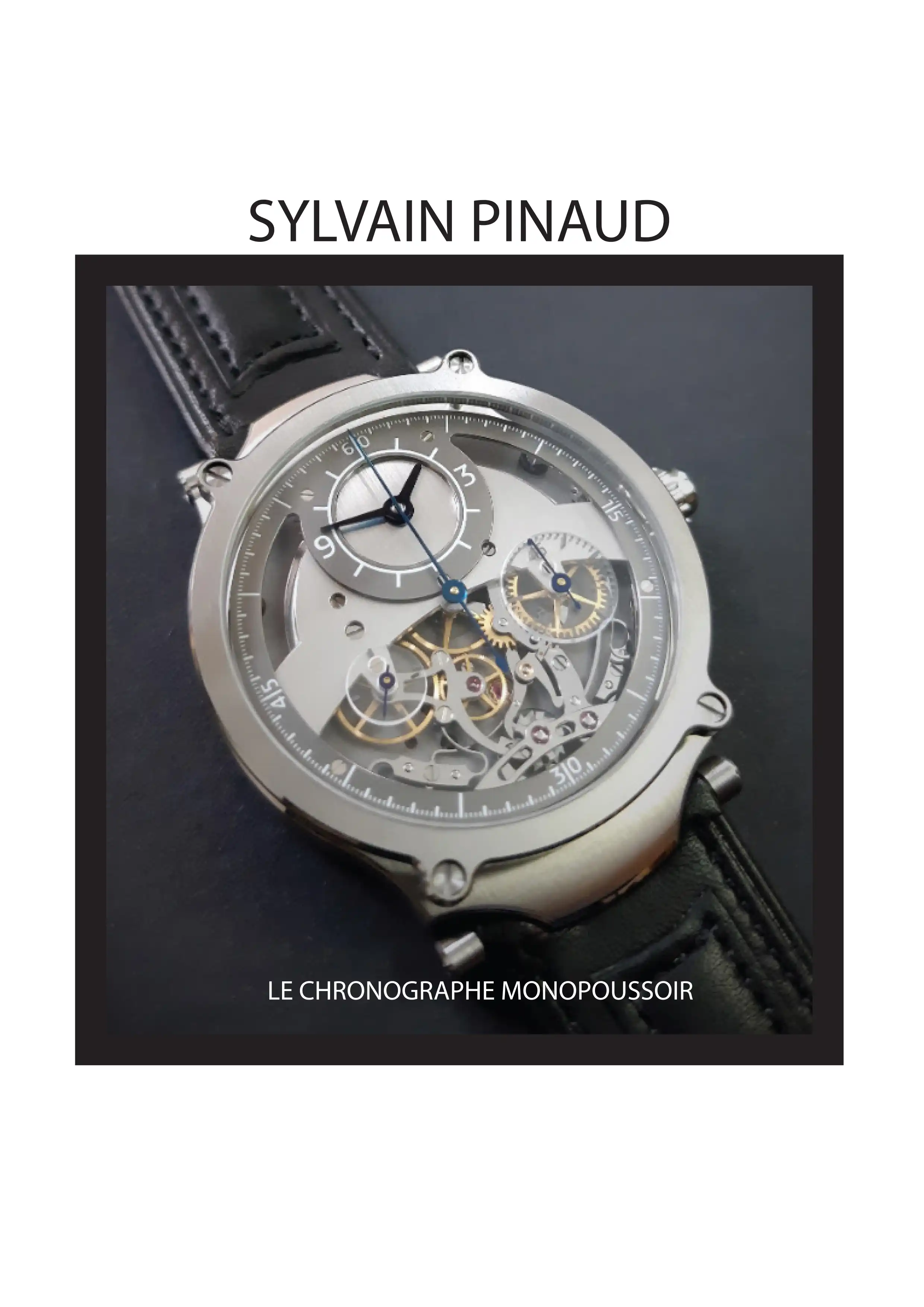 SYLVAIN PINAUD