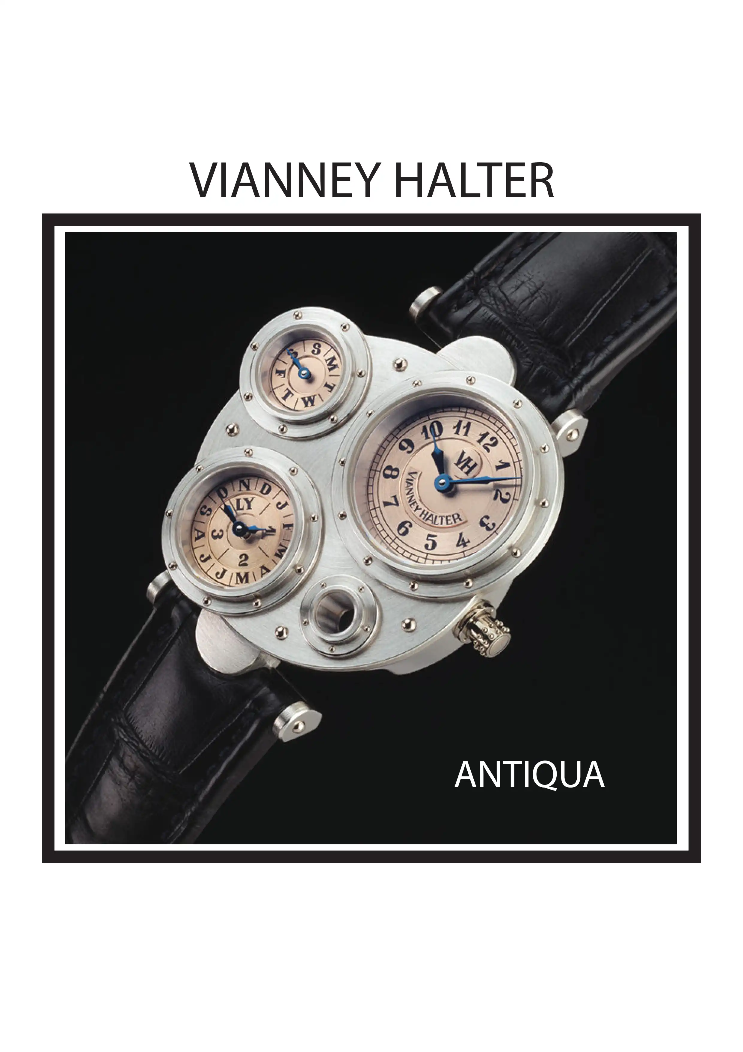 VIANNEY HALTER