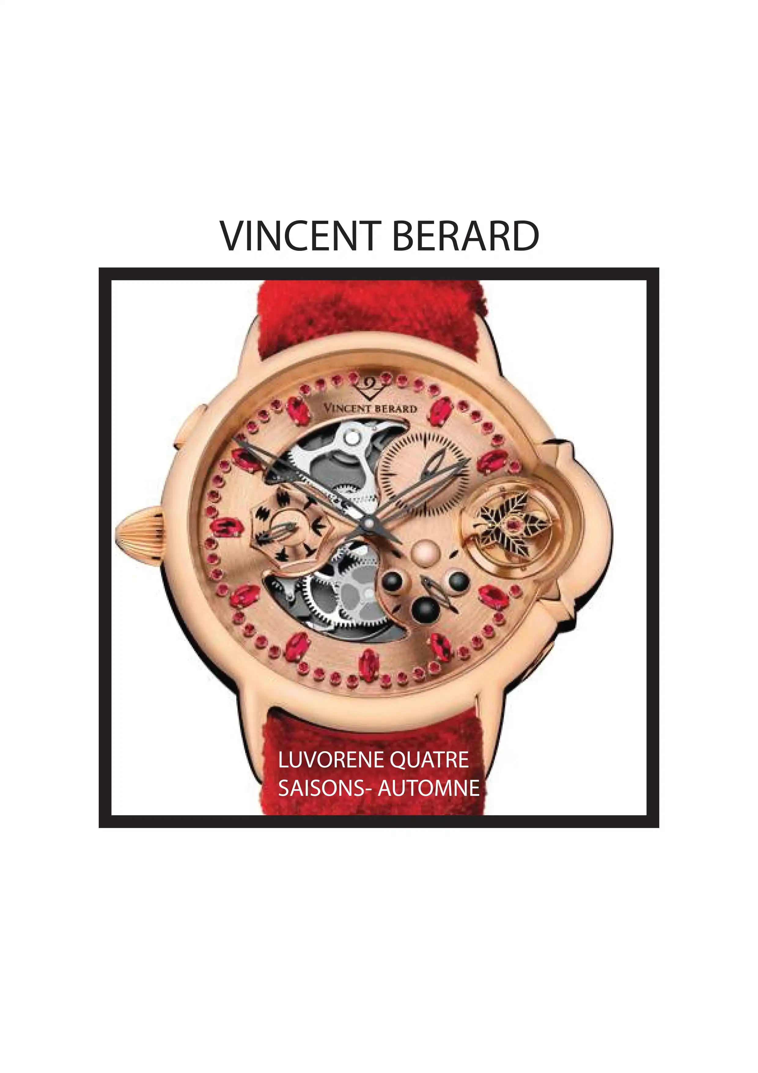 VINCENT BERARD