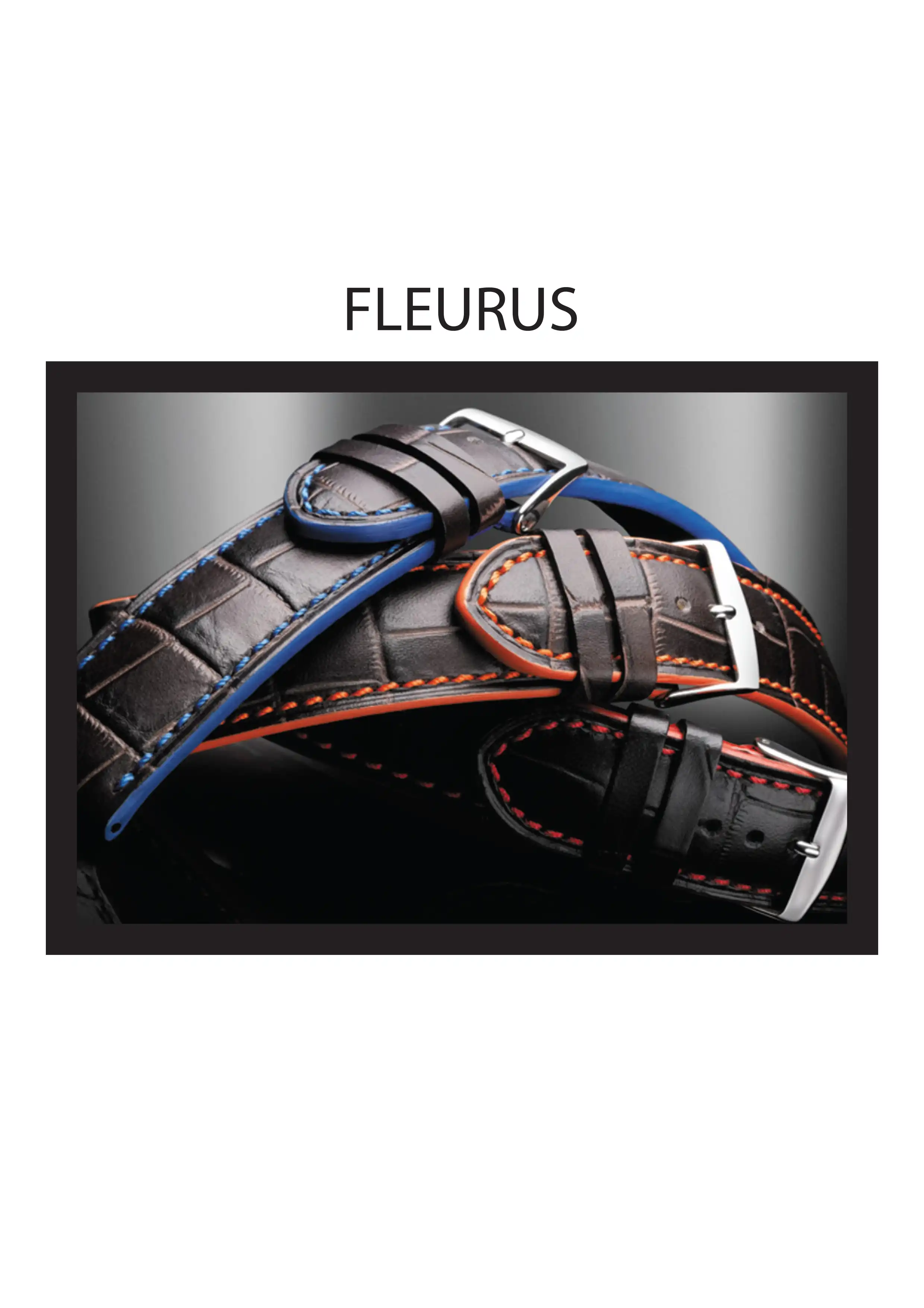 FLEURUS