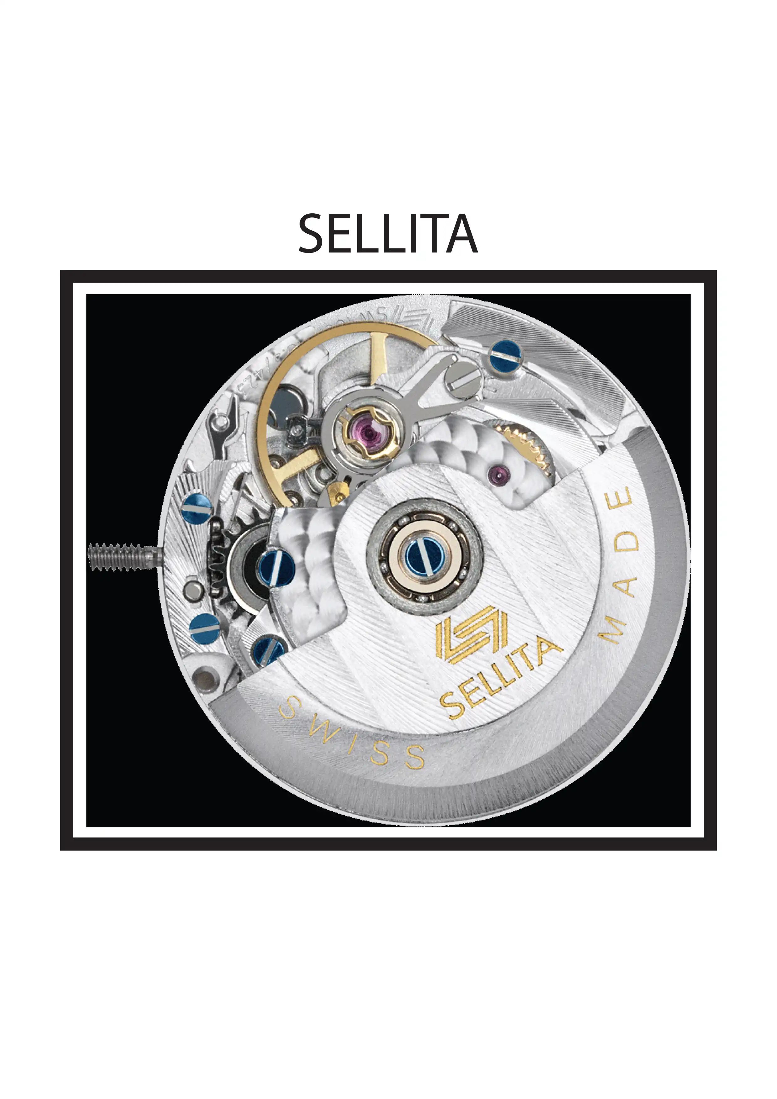SELLITA